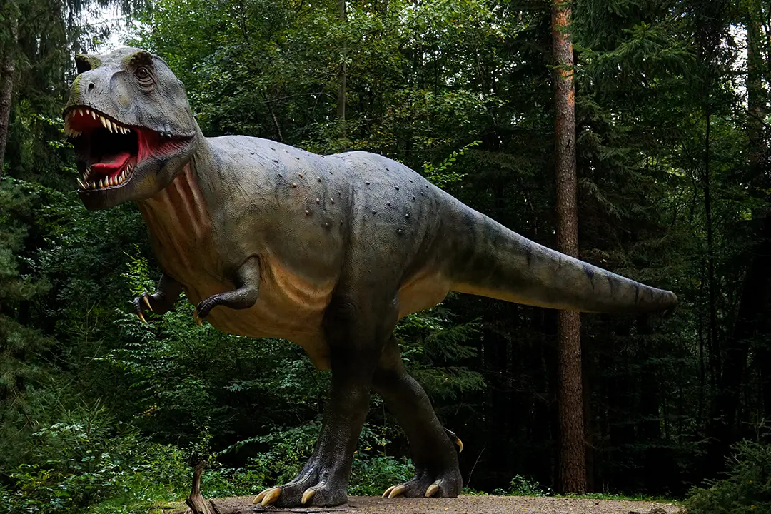 Tyrannosaurus Rex
