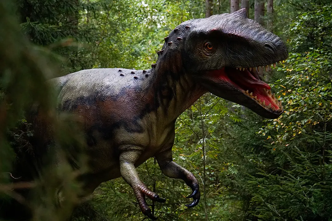 Allosaurus